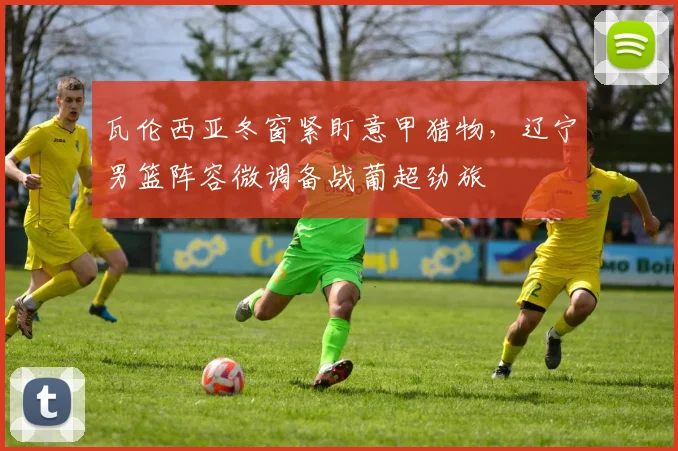 瓦伦西亚冬窗紧盯意甲猎物，辽宁男篮阵容微调备战葡超劲旅